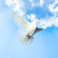 Richard Amon Lovell Obituary, Phoenix, AZ