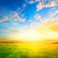 Denton Earl Magruder