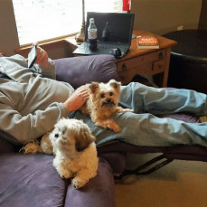 Animal lover Tim with his first grandpups, Rocky and Wheezer. - Grandpups