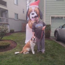 The Dogs all loved Shaun ❤️❤️ - Shannon Reichard (mom)