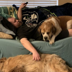 The Dogs all loved Shaun ❤️❤️ - Shannon Reichard (mom)