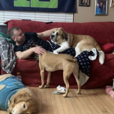 The Dogs all loved Shaun ❤️❤️ - Shannon Reichard (mom)