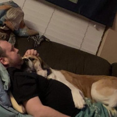 The Dogs all loved Shaun ❤️❤️ - Shannon Reichard (mom)