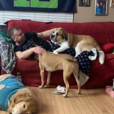 The Dogs all loved Shaun ❤️❤️ - Shannon Reichard (mom)