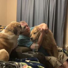 The Dogs all loved Shaun ❤️❤️ - Shannon Reichard (mom)