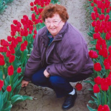 Skagit Valley Tulips - John