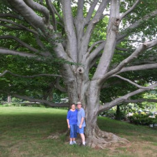 Ronna and Rod visiting the Shaw’s in Connecticut and NYC. - Janice and Lyle Shaw