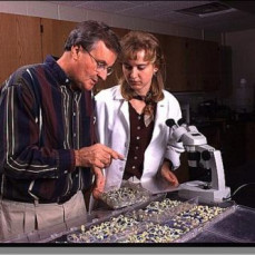 Denis and his protégé Lisa Shepherd in the seed pathology lab - Gary Munkvold