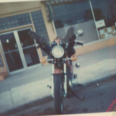 - Pamela J.S. Hutchinson