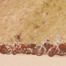 - Pamela J.S. Hutchinson