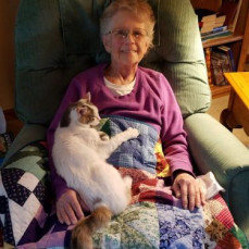 Picture of mom with cat and her last quilt - Debbie Weber