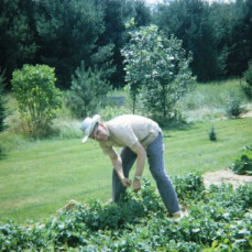 William F. Kelly in his garden - Clark Kelly